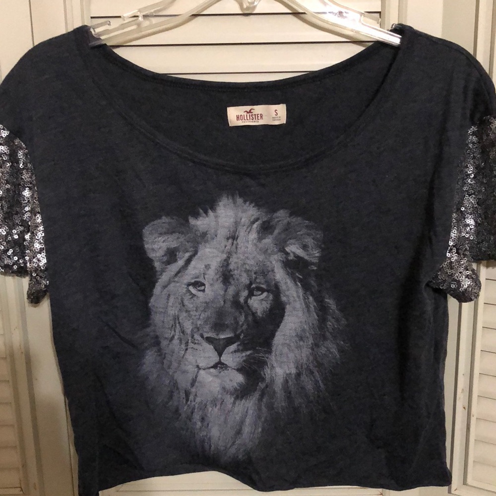 Hollister gray crop top